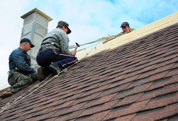 Roof Gutter Cleaning in Gahanna, OH
